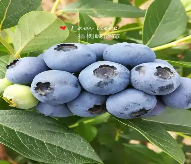 娘家人为您推荐蛟河休闲旅游精品景点