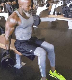 肱二头肌快速训练有效方法,肱二头肌怎么练才有力量