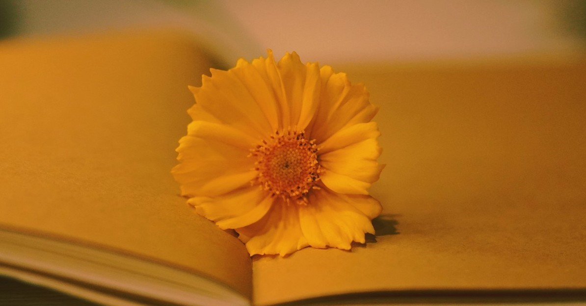 拼多多无货源开店怎么自己运营,拼多多1688无货源一件代发怎么做