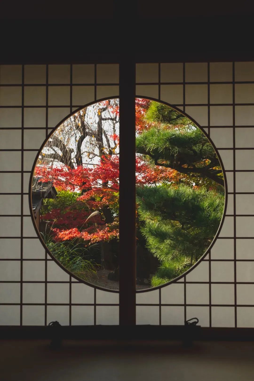 装饰类家具特点,家具与家居生活