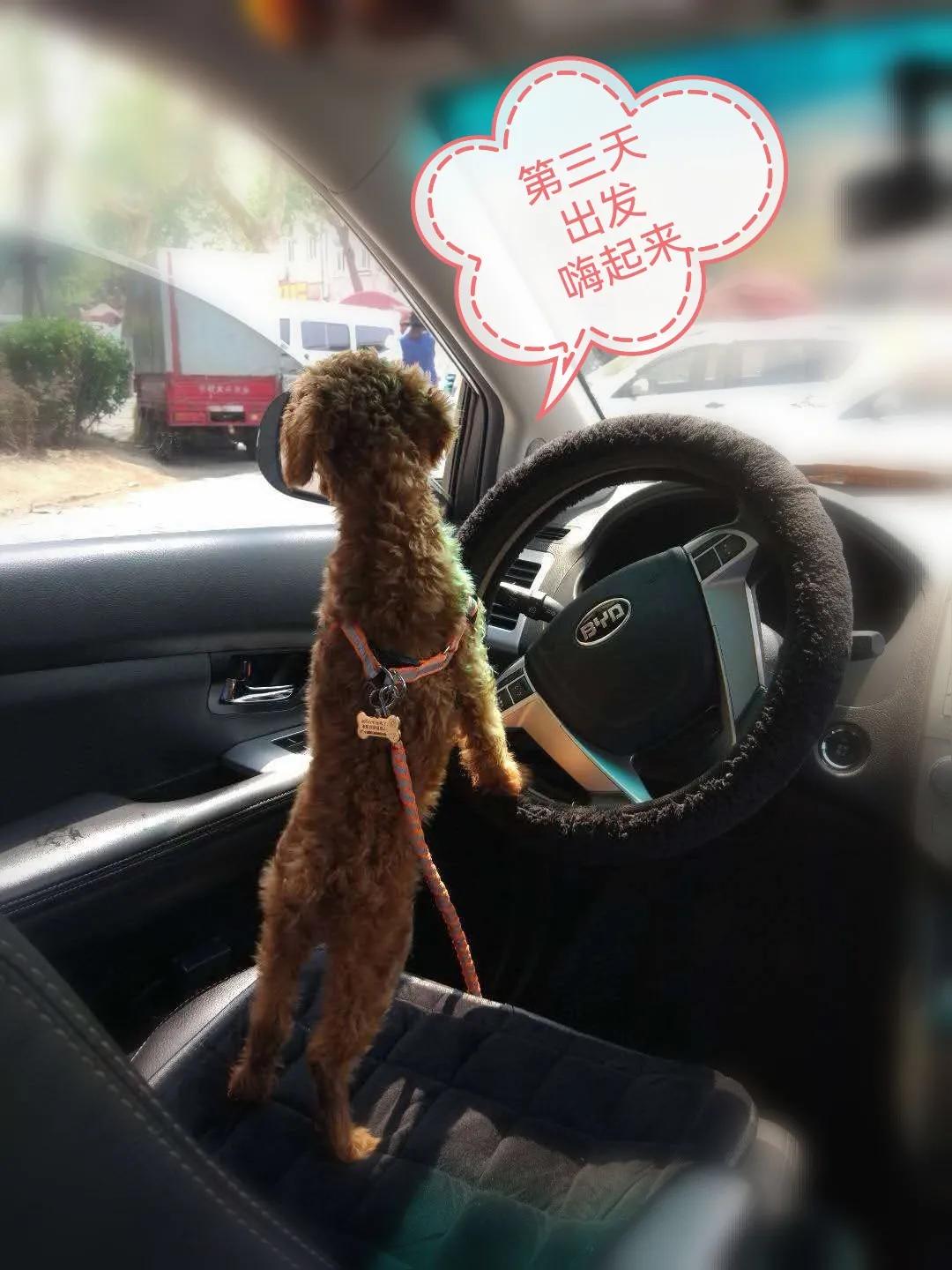 国庆七天乐毕福剑主持,国庆七天乐已经正式拉开帷幕