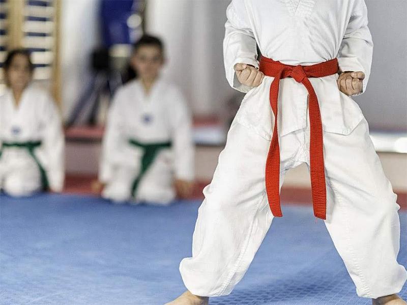 中国好的空手道训练机构,空手道培训学校好做吗