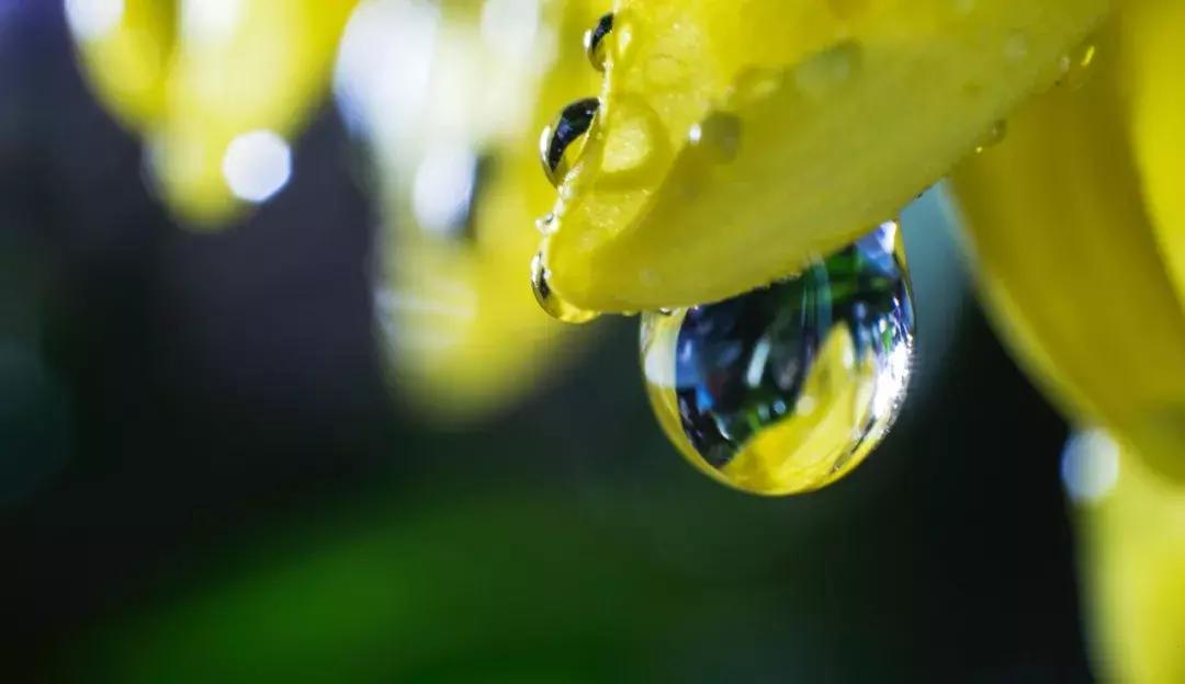 长焦镜头拍摄升起效果,怎么把镜头突然反过来拍自己