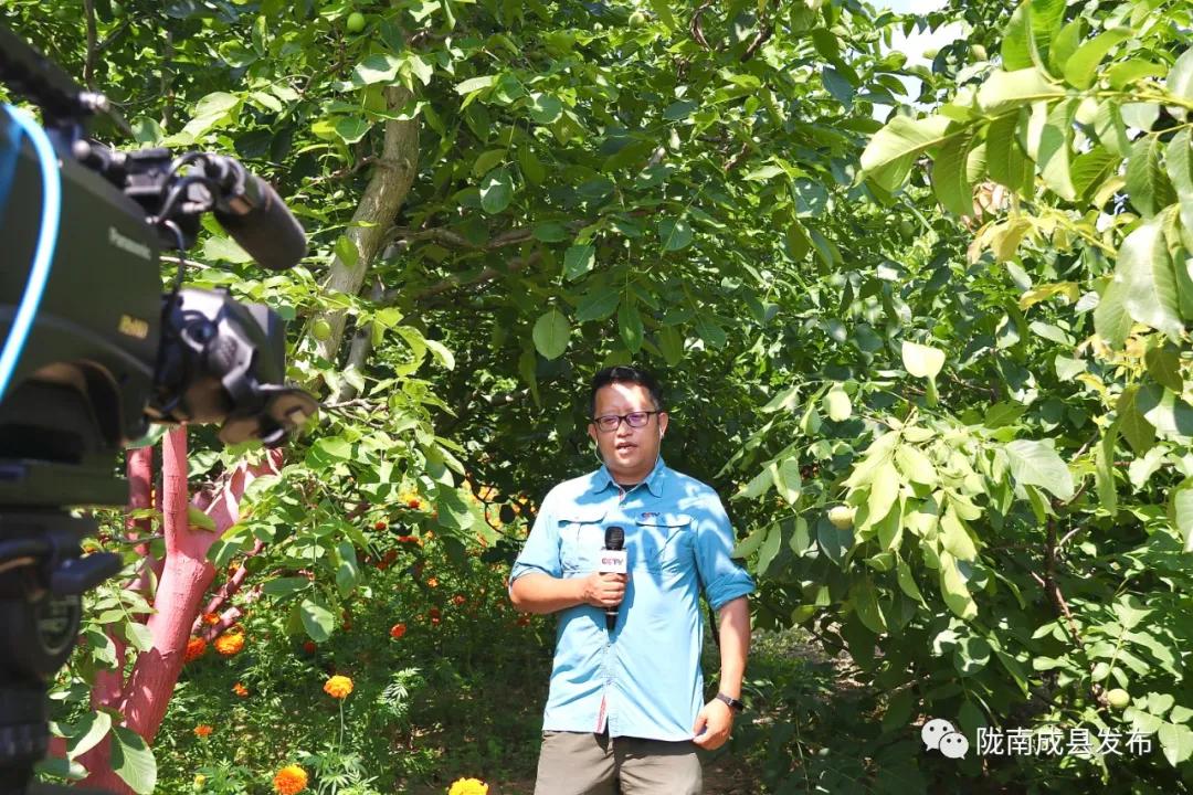 央视网直播走进乡村看小康福建,走进乡村看小康直播津市