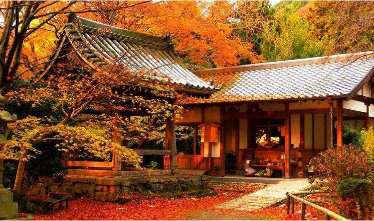 深圳旅行社港澳旅游攻略,深圳实惠旅行社三日游