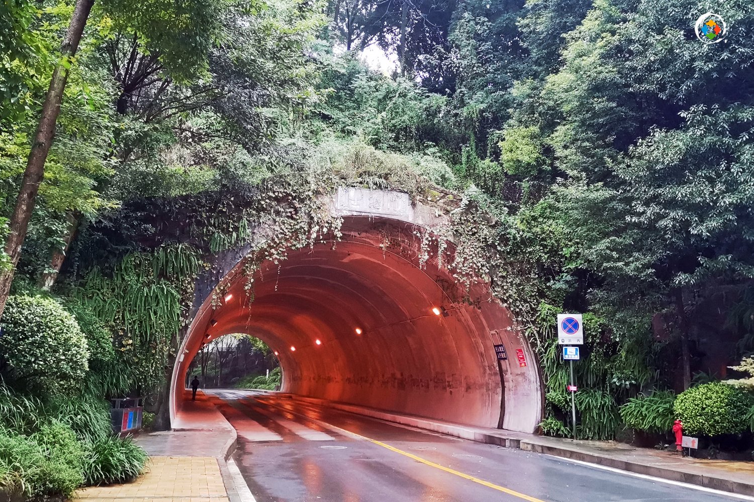 重庆大学城哪个大学风景好,重庆大学哪个区最好玩