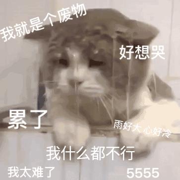 fc既能格斗又可以闯关的游戏,fc平台新作