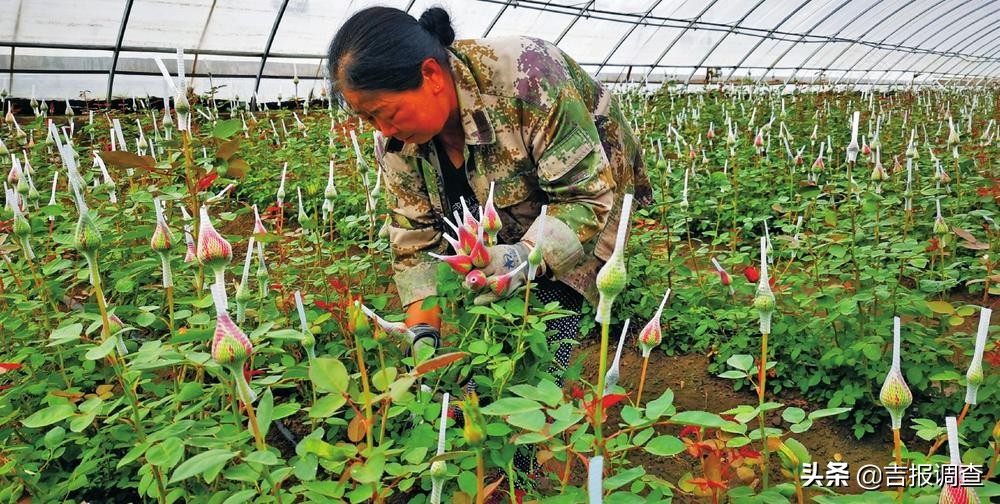 有图有真相的攻略,有图有真相逆战