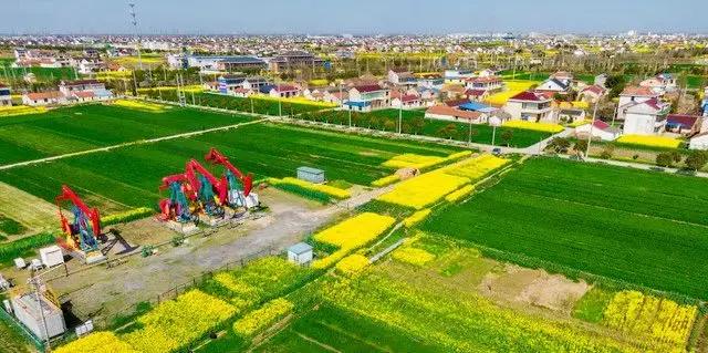 用户侧储能策略,用户侧储能需求侧响应