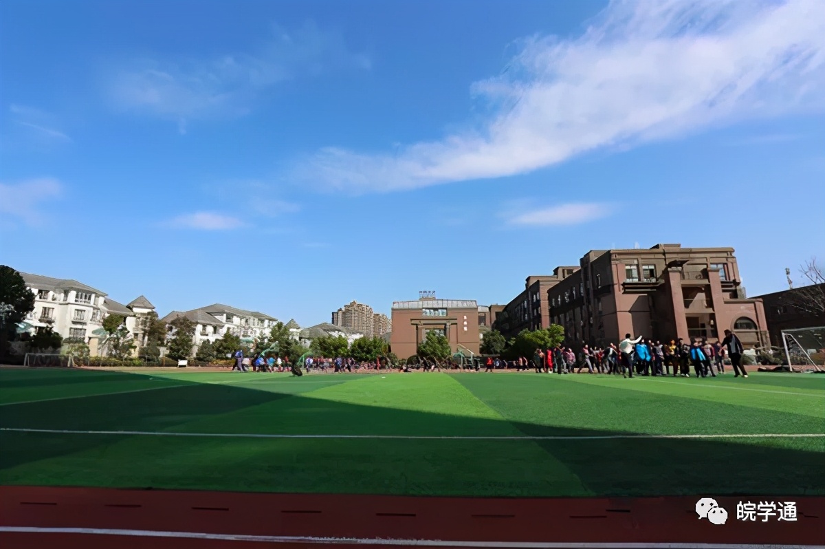 合肥海顿中学属于什么档次,合肥市海顿学校