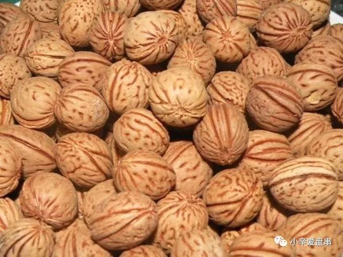 君子潜修己身是什么意思,君子慎独修己以安人全文