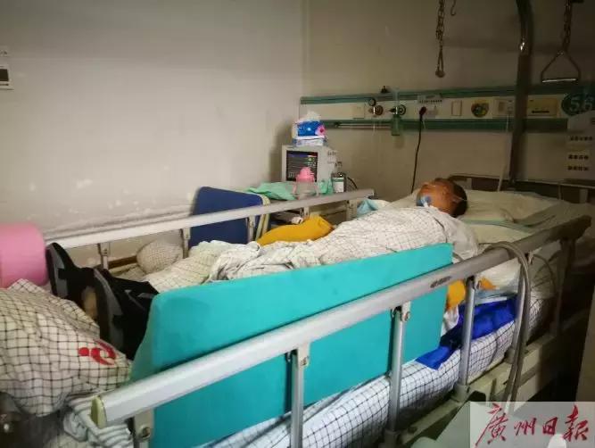 女子被天降大狗砸死,女子被天降大狗砸瘫获赔超百万