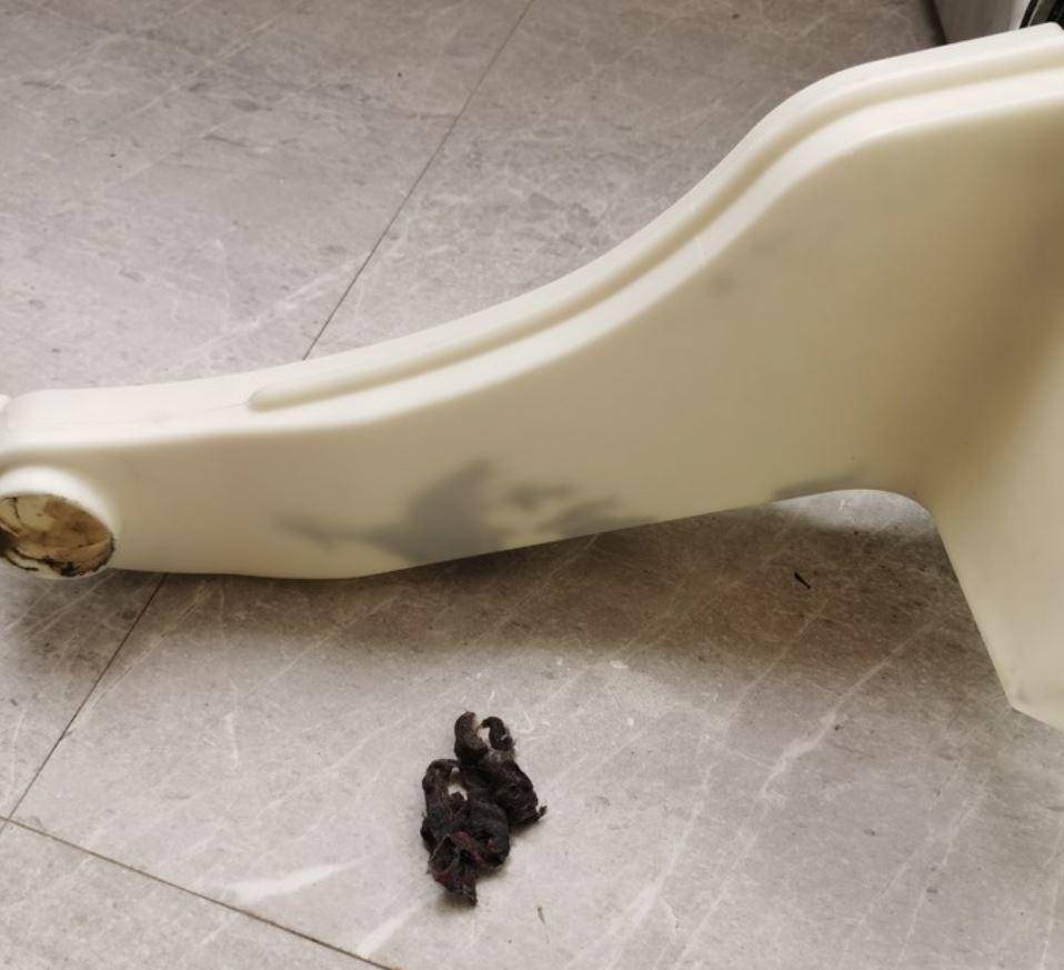 双11全屋家电,双11全屋家电必备清单