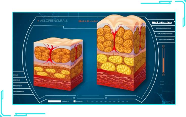 这八种网友疯传的最有效减肥方法,这3种减肥方法效果显著值得一试