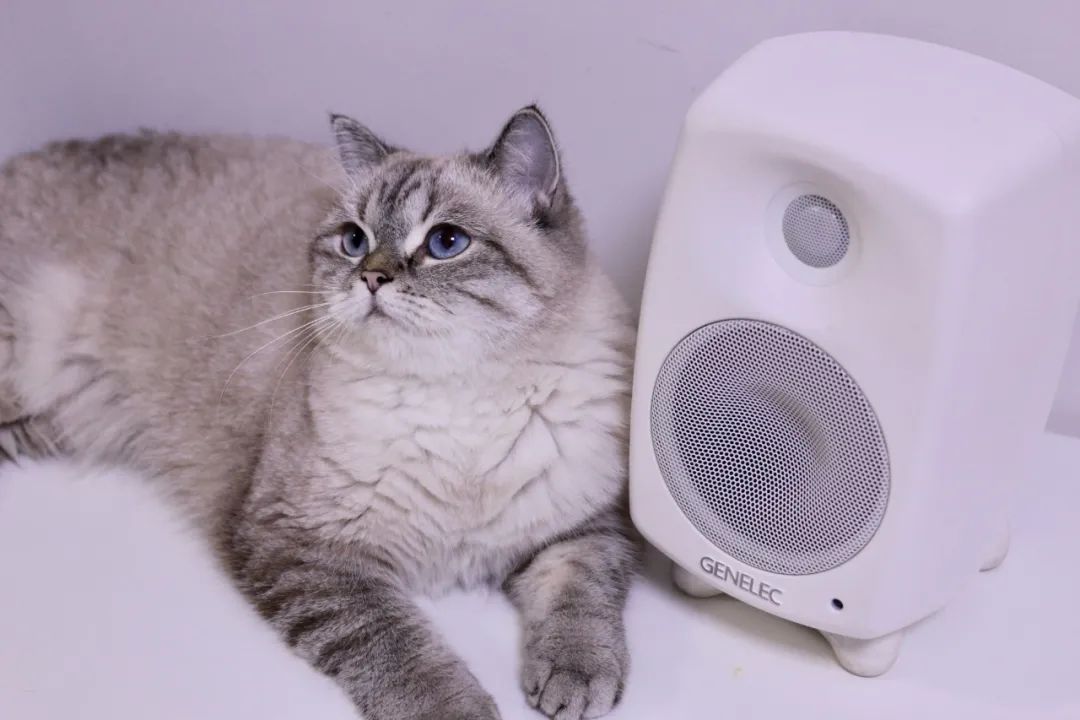 genelec真力怎么样,genelec真力测评