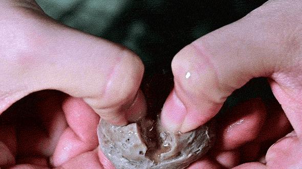 正宗潮汕牛肉丸纯手工第一名,正宗潮汕手打牛肉丸全过程直播