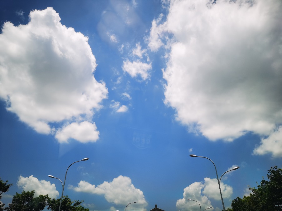 两天股价跌去20%!“牙科茅”通策医疗怎么了?