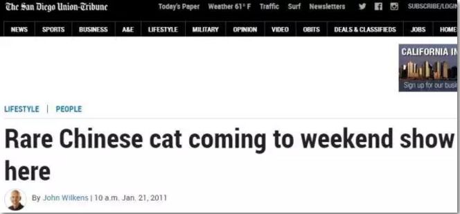 十块钱就能买一只狸花猫是真的吗,几十元的狸花猫能养吗