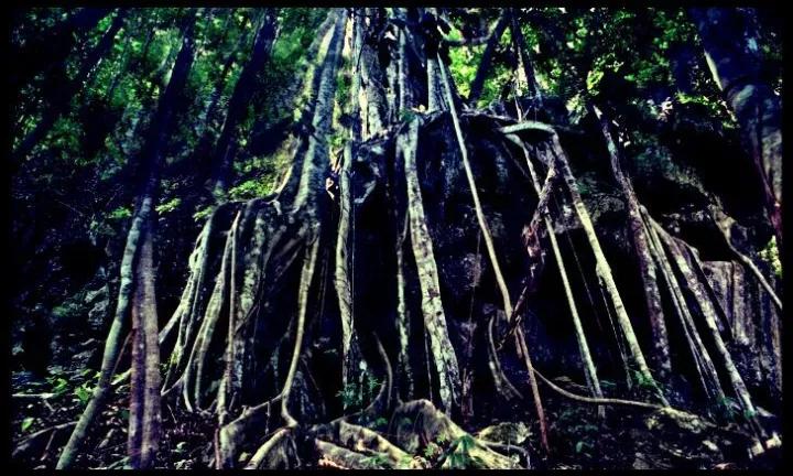 云南适合深秋游玩的地方,云南的秋天适合去哪些景点