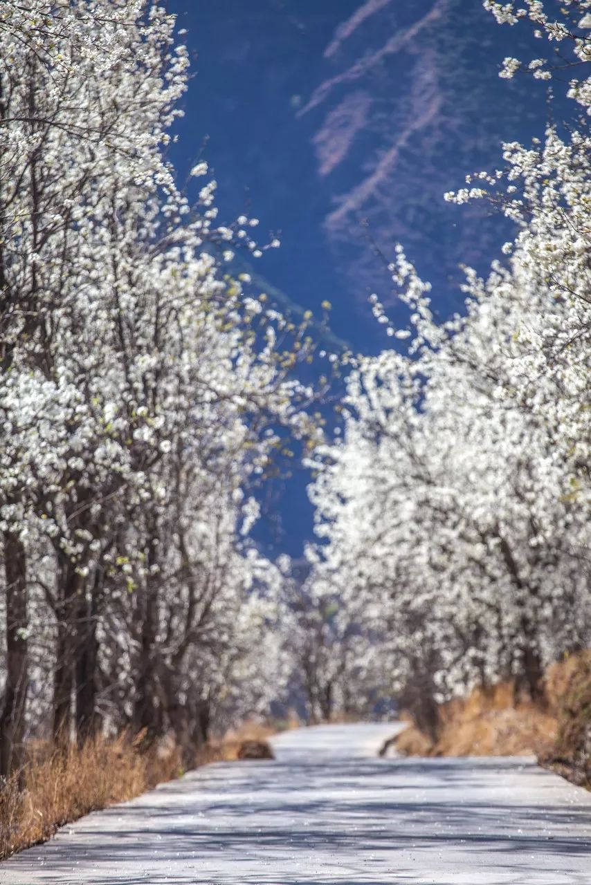 别在年轻的时候去四川！因为你的余生，都将沉醉在她的魅力里