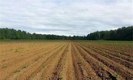 农村土地一亩是多少个平方,一亩等于多少平米农田