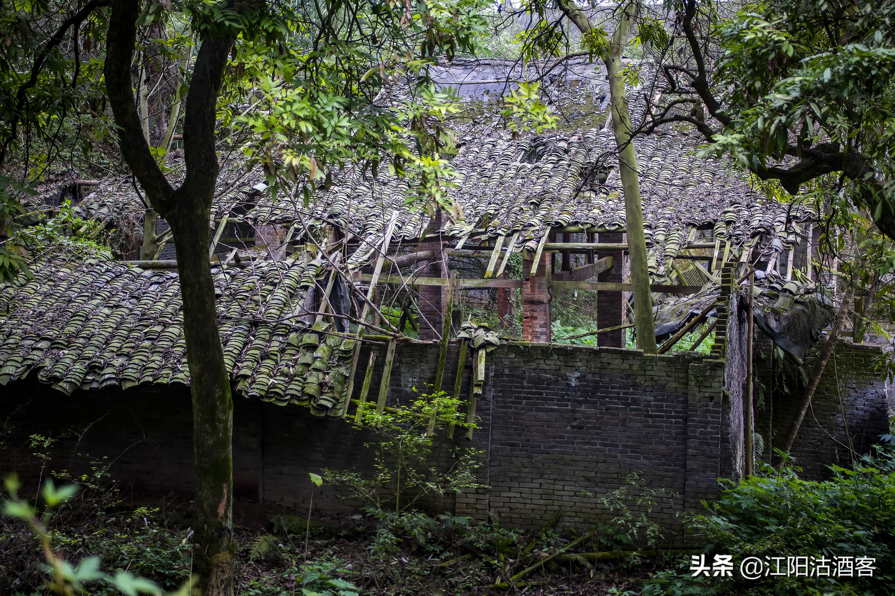 泸州沙湾，一条通往茶马古道的长江水上码头，如今落寞无人问