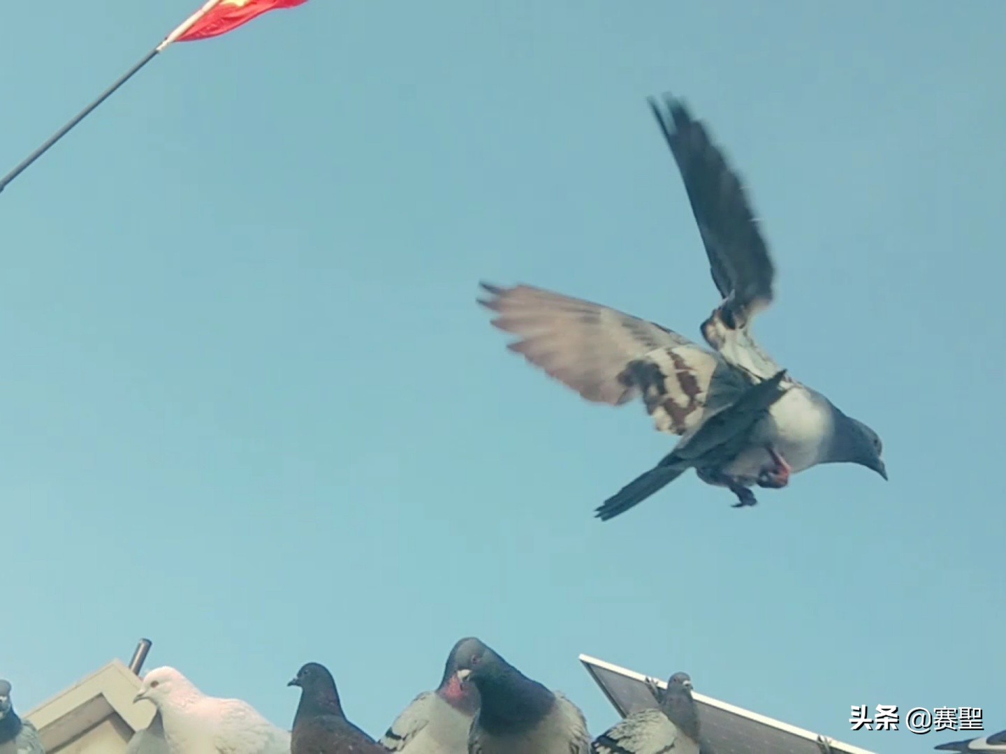 克拉克詹森简介,詹森克拉克