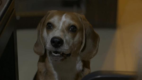 松下全画幅微单s5对焦,松下s5全画幅微单变焦镜头推荐