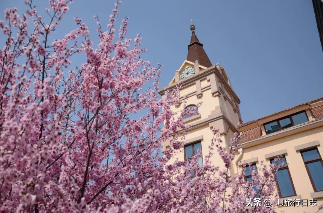 2023山东高考大学推荐,高考学子看过来