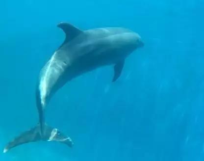 昆明亲子乐园游玩攻略,昆明周边游童话世界亲子乐园