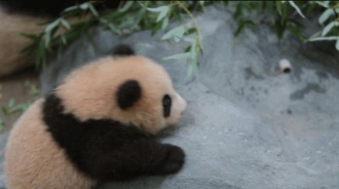 黑眼圈不一定是熬夜造成的,黑眼圈不一定是因为熬夜教你几招