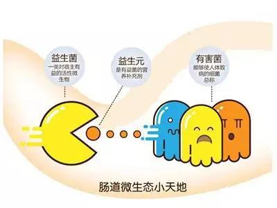 促消化酸奶益生菌,益生菌酸奶真的助消化吗