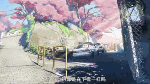 日本动画秒速5厘米,秒速五厘米动画书