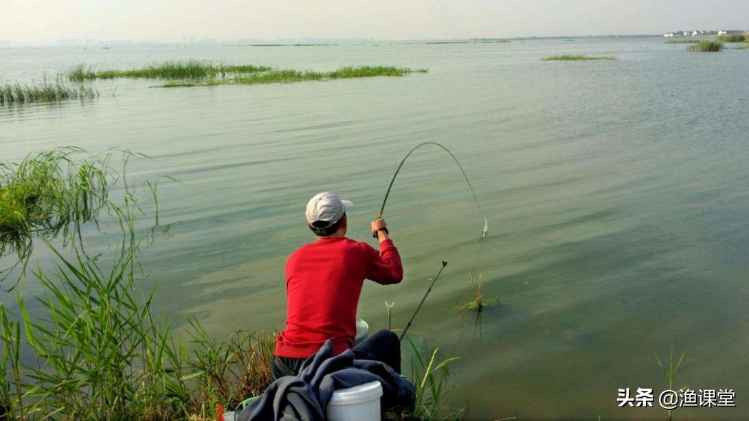 钓鱼遇到大鱼咬钩，一旦“拔河”基本都是输，教你3招釜底抽薪法