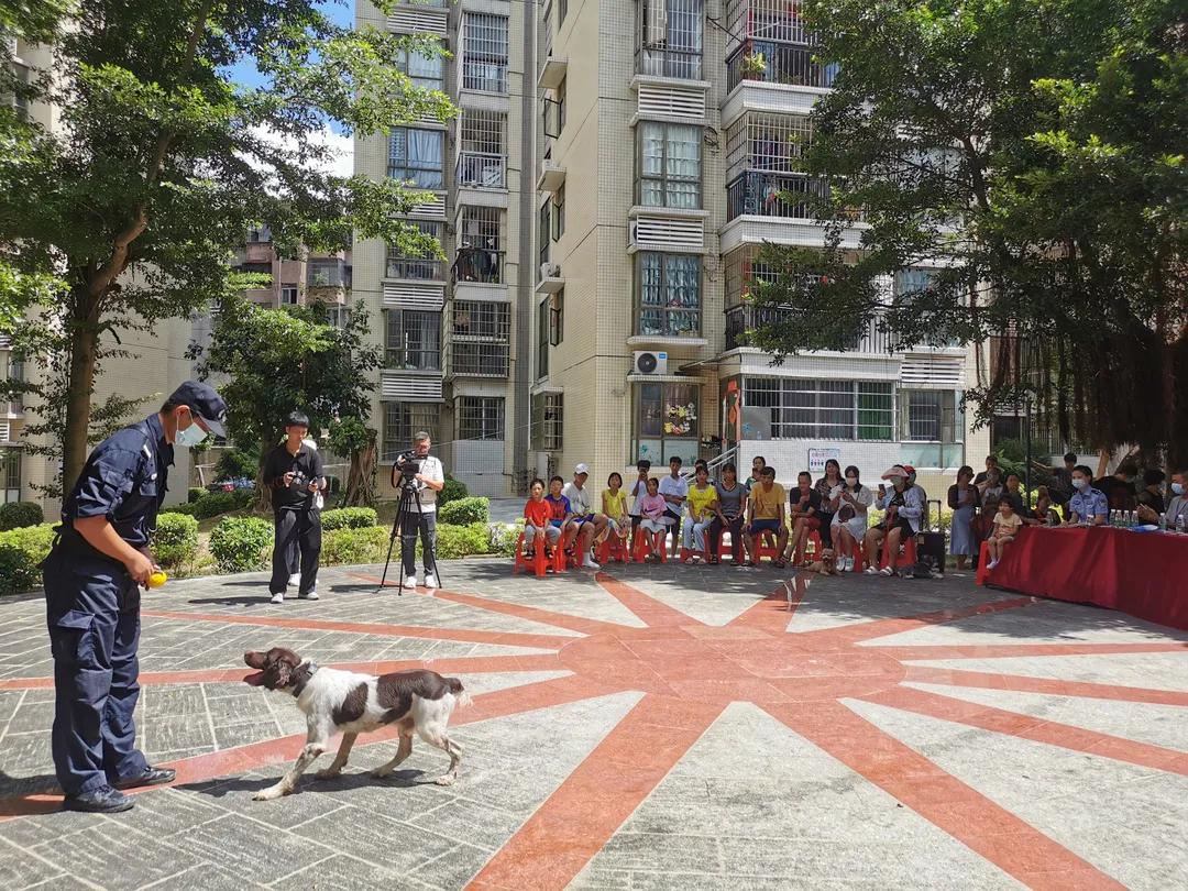 还记得那只C位出道的珠海狗狗么？