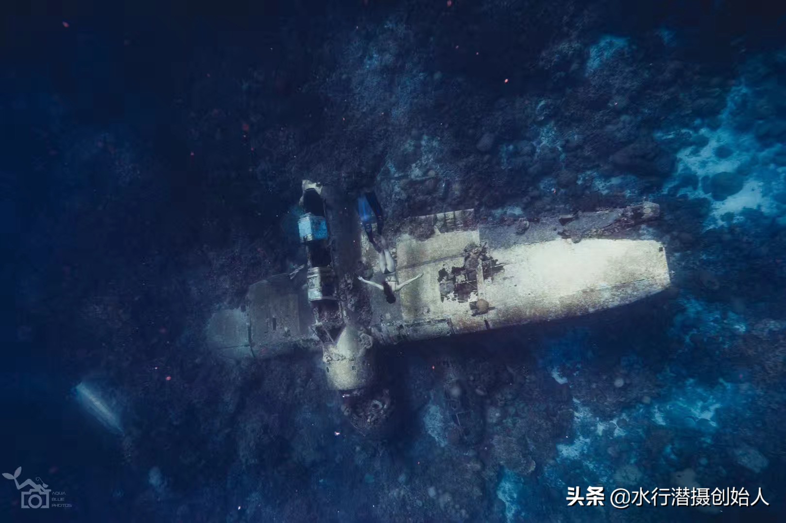 帕劳岛自由行潜水,帕劳水母湖自由潜视频