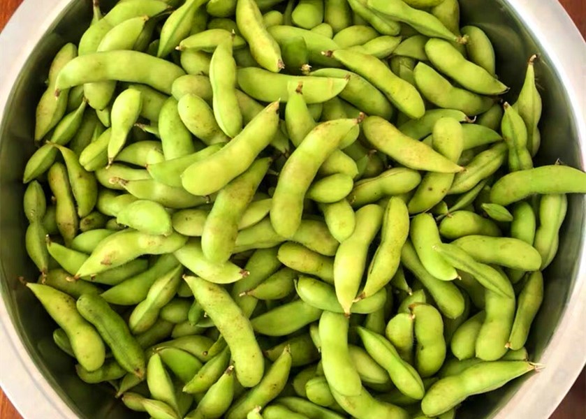 水煮毛豆一般煮几分钟能熟,水煮毛豆一般煮几分钟可以熟