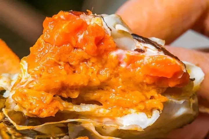 在武汉生活的100条“*规则潜**”，正宗的武汉人也未必知道