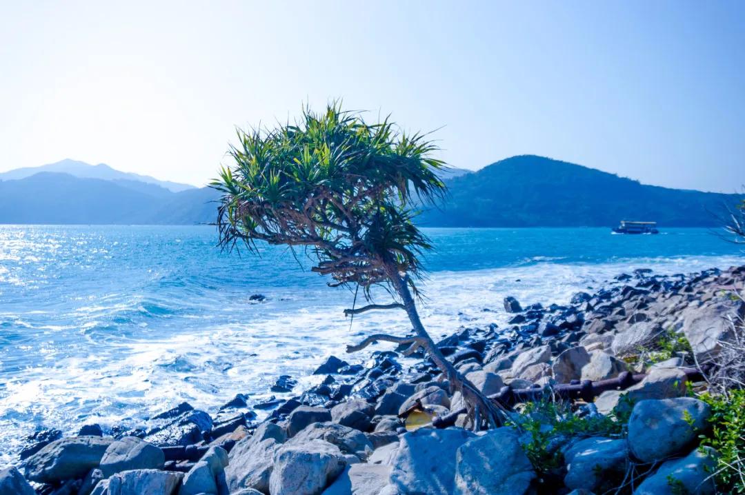 60岁前必去的中国各省区最美天堂,全国各省最美天堂你都去对了吗