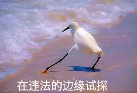 电商法生效在即，以后这些行为就是作死