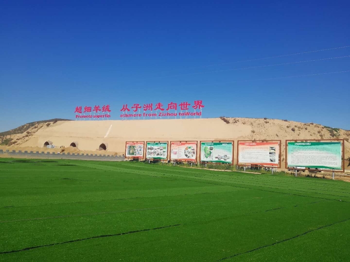 放羊娃到企业家,子洲放羊娃