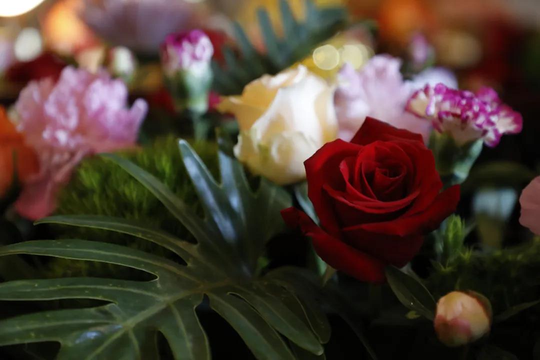 家中供养佛菩萨圣像,在家供养佛菩萨仪轨