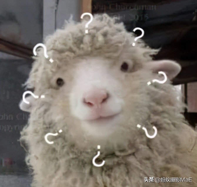 摄影大师怎么拍出高级感,摄影大师的拍摄技巧是什么