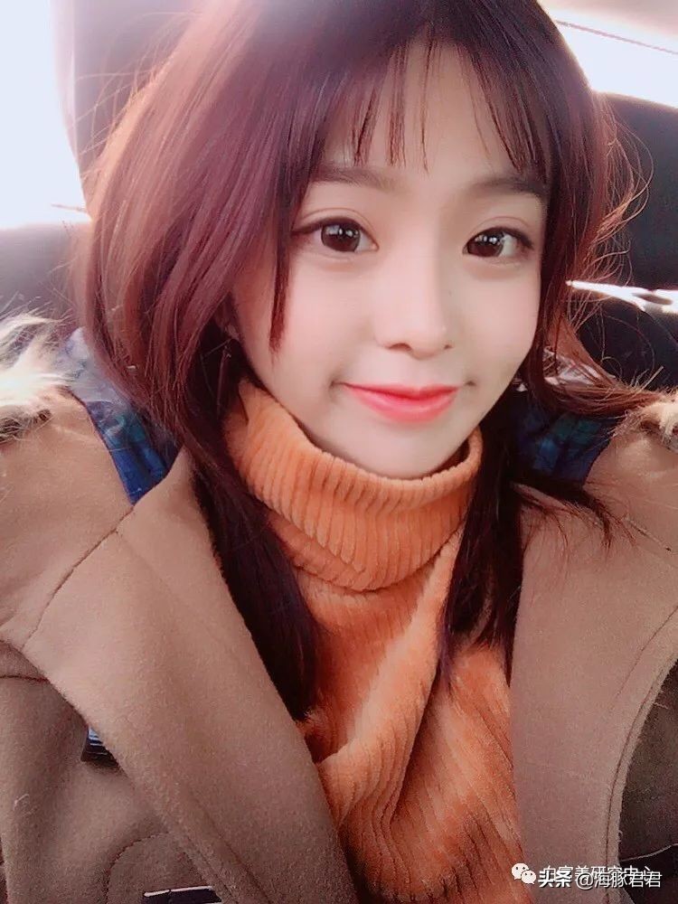 北京小公主靠吸猫血成百万大V,直播整容、大照骗、2年养死3只猫