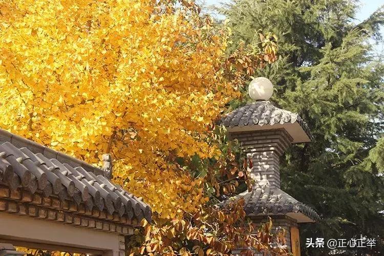 如何教3岁宝宝学国学,幼儿园教国学好吗