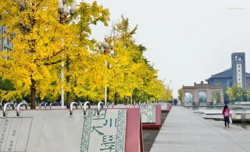 四川大学是一所什么样的大学,四川大学是一所什么样的学校