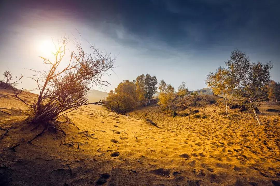 一个朝代一首诗带你看中国史,一个朝代一首诗吟诵中国史