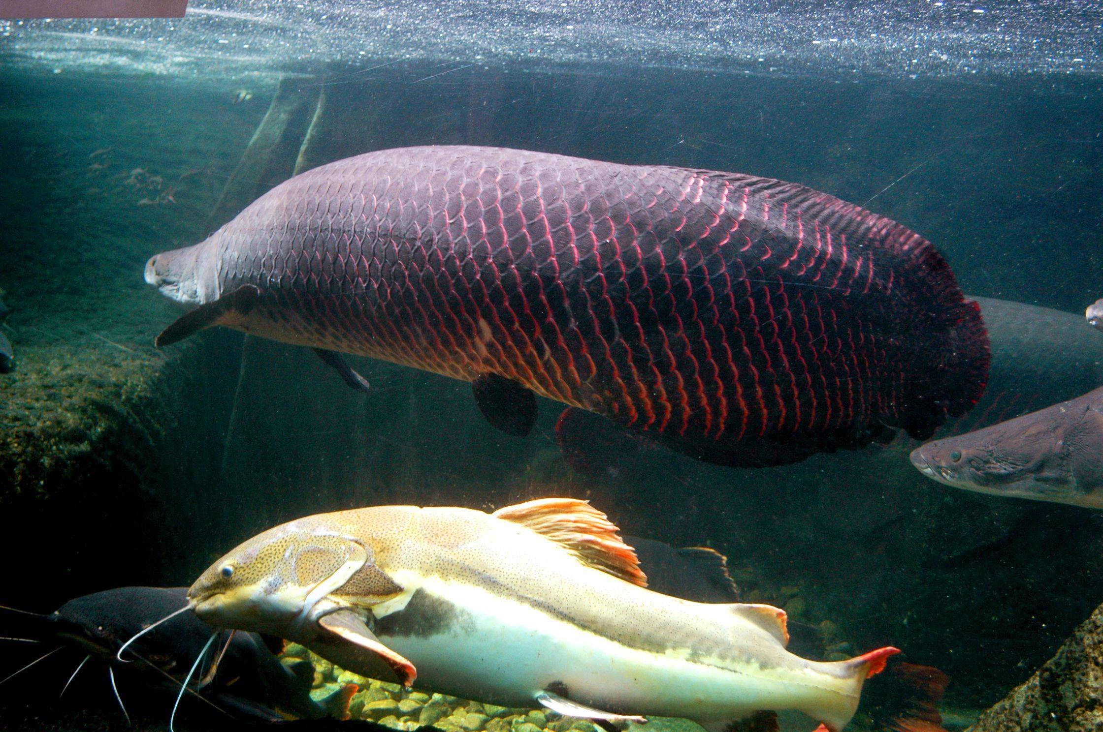 南山青青世界风景区,南山青青世界公园有什么