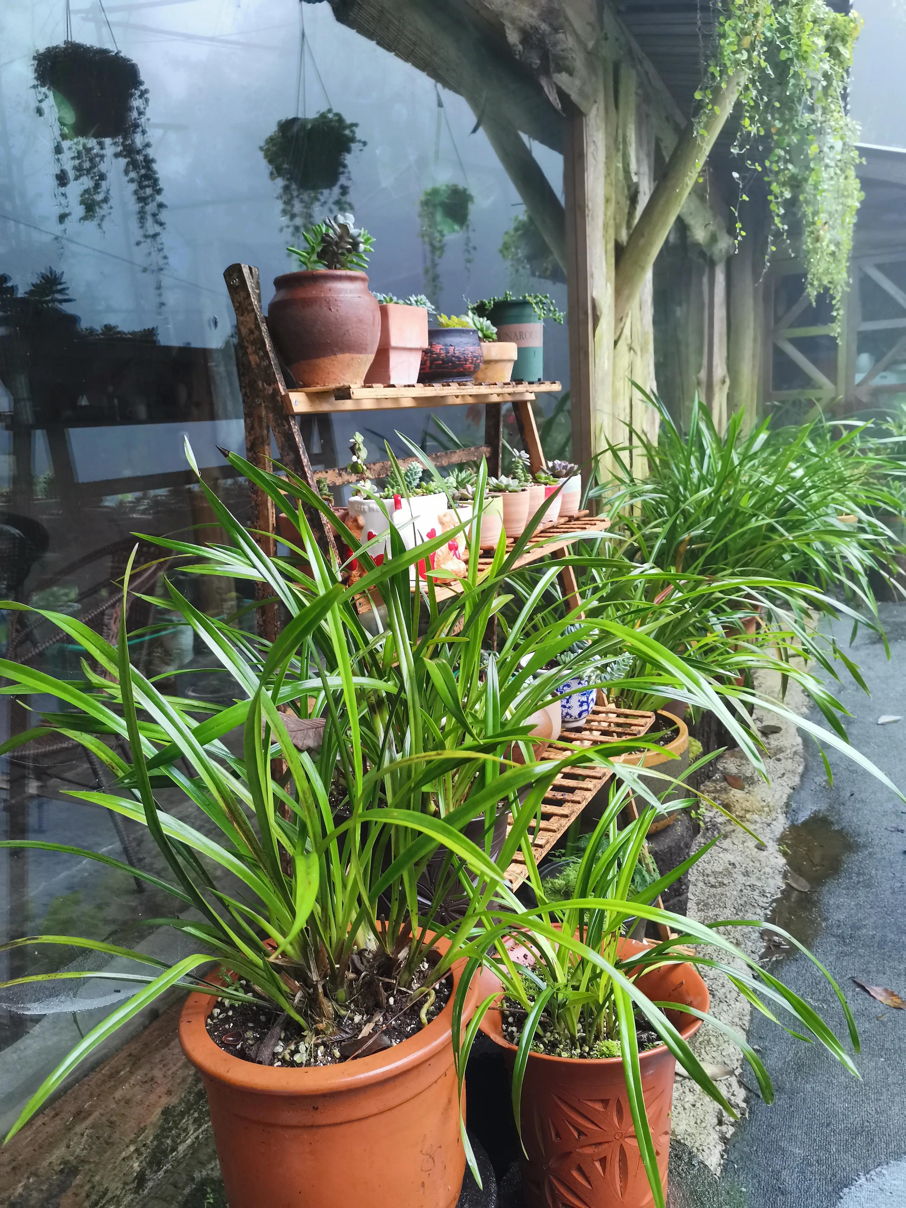 铜梁巴岳山森林木屋,巴岳山树屋