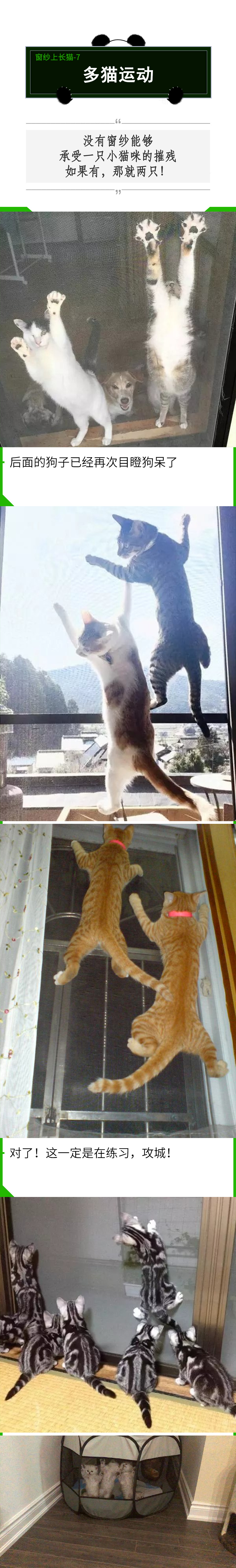 有纱窗为什么家里总有蚊子,有防盗网的房间窗户防蚊纱窗